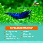 Blue Diamond Cherry Shrimp