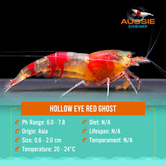 Hollow eye red ghost