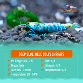 Deep Blue, Blue Bolts Shrimps