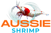 Aussie Shrimp Australia