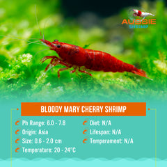 Bloody Mary Cherry Shrimp